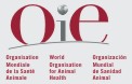 OIE HOME.jpg